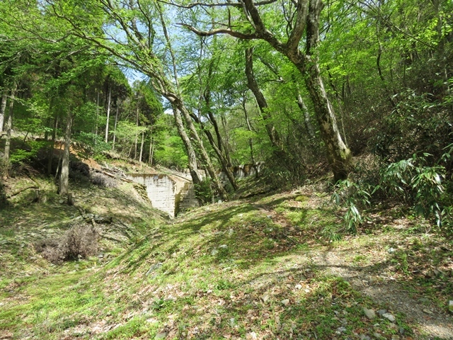 f0357487_21490269.jpg