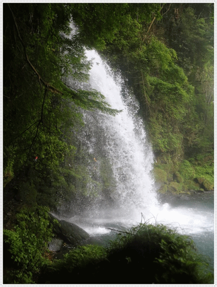 b0175688_21381881.gif