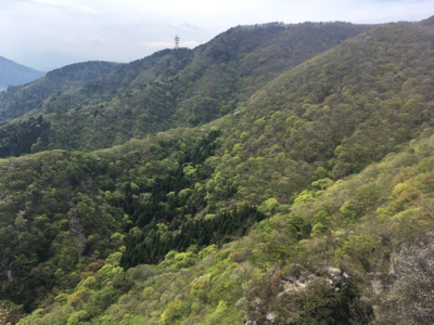 子持山、獅子岩へ_d0261589_06045186.jpg