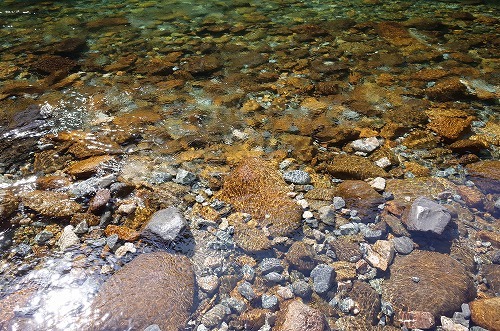 b0119493_23322012.jpg