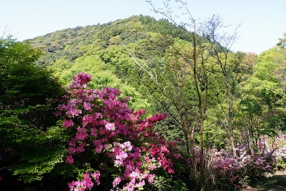 e0176993_07411115.jpg