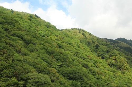 おでかけ_a0333195_14085700.jpg