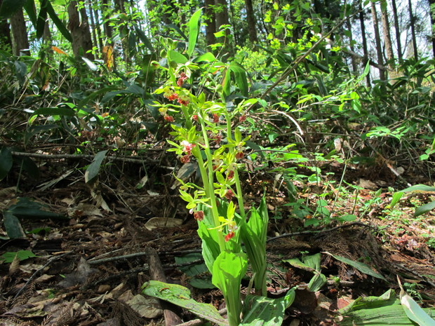 a0166196_16461721.jpg