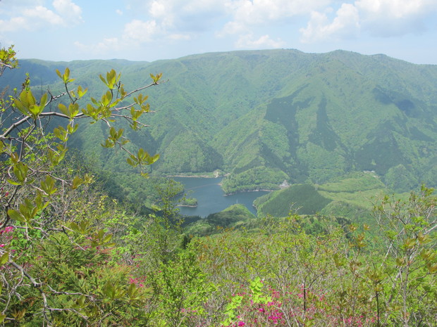 a0166196_16532390.jpg