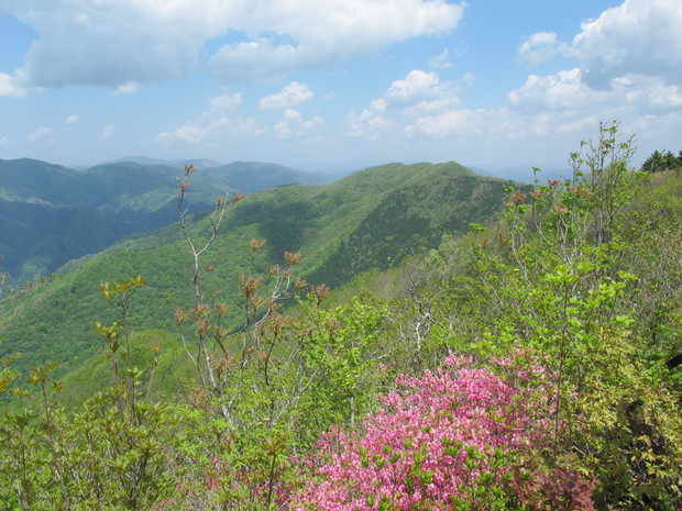 a0166196_1653313.jpg