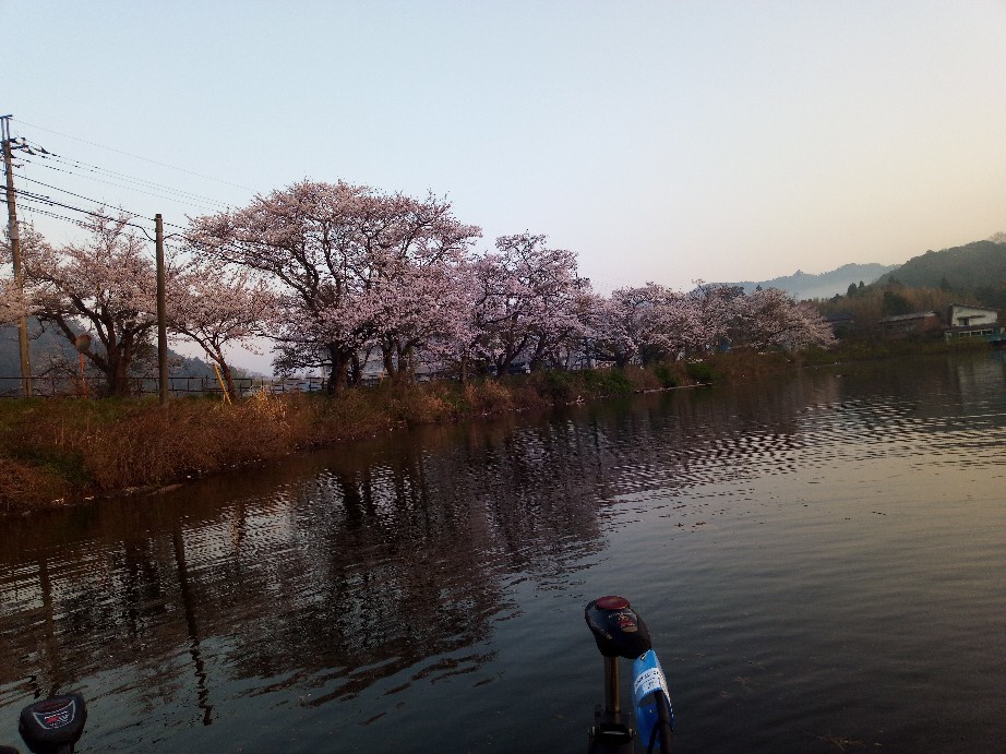 先日三島湖に２日間行..._c0386897_18401007.jpg