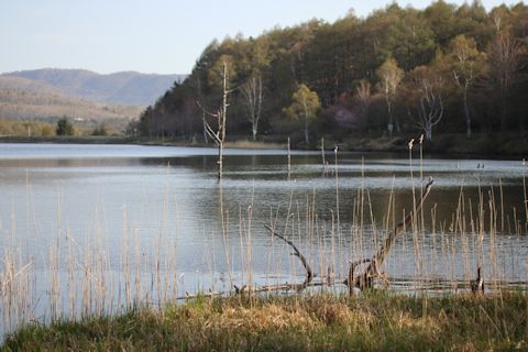 c0090198_19444904.jpg