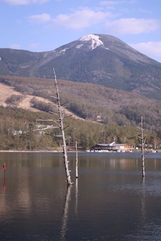 c0090198_19451328.jpg