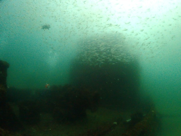 e0115199_19144294.jpg