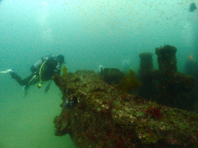 e0115199_19144385.jpg