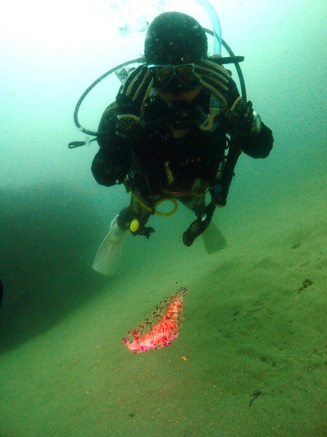 e0115199_19225943.jpg