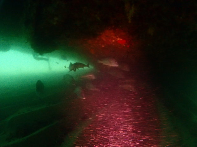 e0115199_19241193.jpg