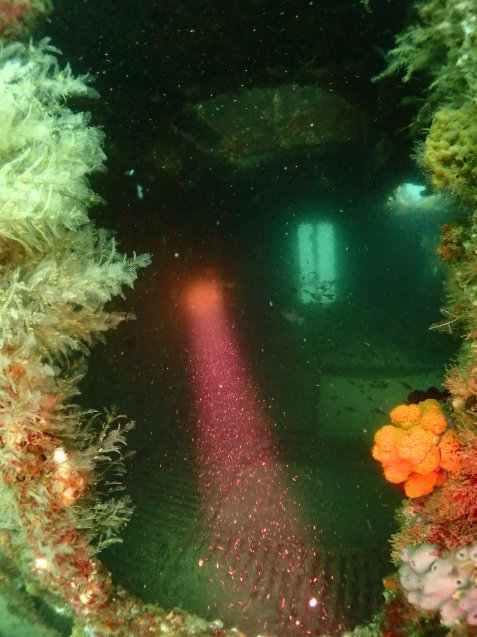 e0115199_19312973.jpg