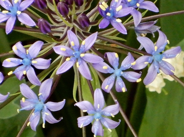 e0025300_215715.jpg