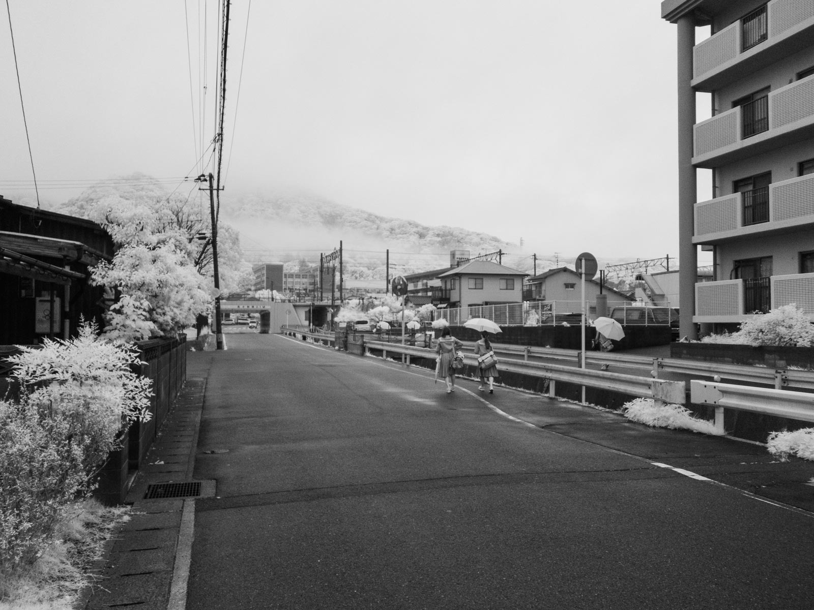 f0083903_14120244.jpg