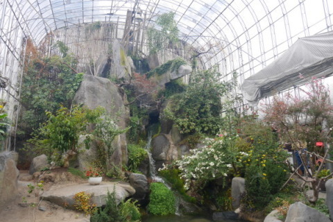 a0140305_01525721.jpg