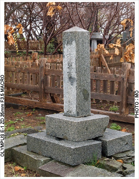c0185705_19223445.jpg