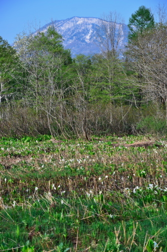 a0263109_20383146.jpg