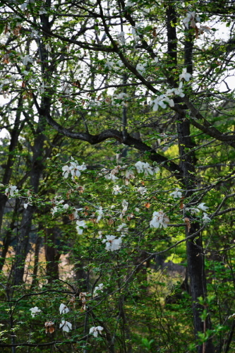 a0263109_20385440.jpg