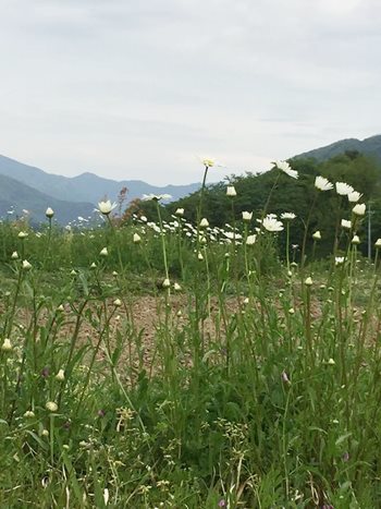 b0151911_12442999.jpg