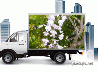 b0352112_17222690.gif