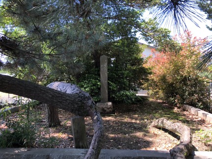 c0051112_1772954.jpg