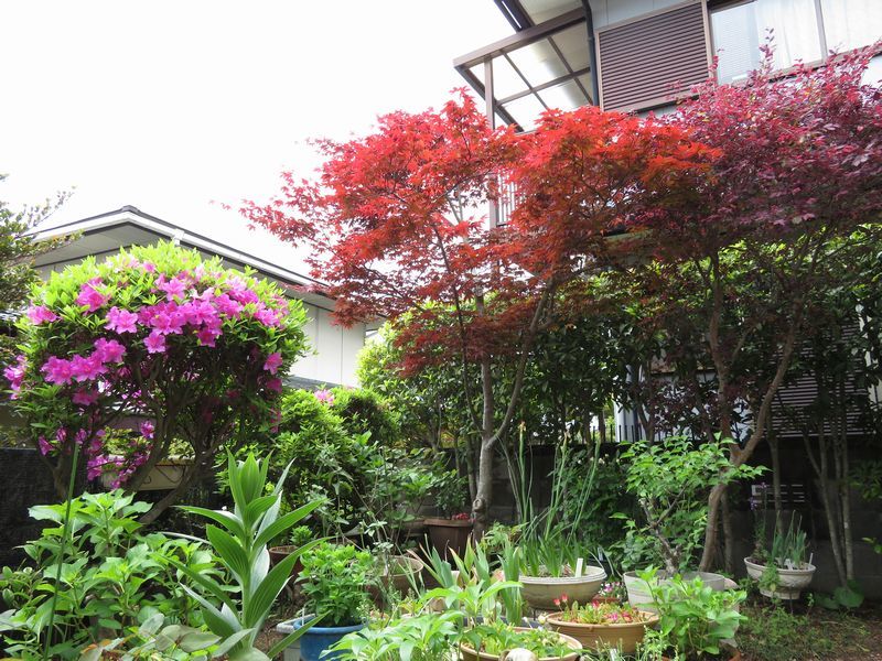 d0065113_06043759.jpg