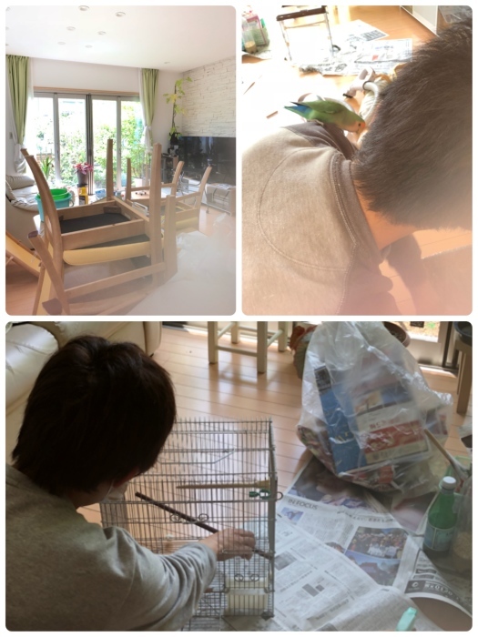 b0163114_14021606.jpeg