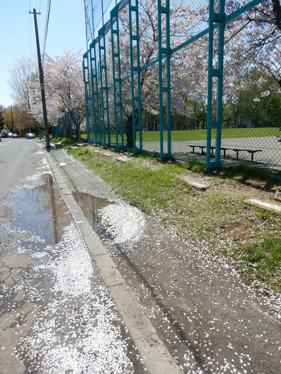 太陽は輝きますが気温はそれほど上がりません_c0025115_23025606.jpg