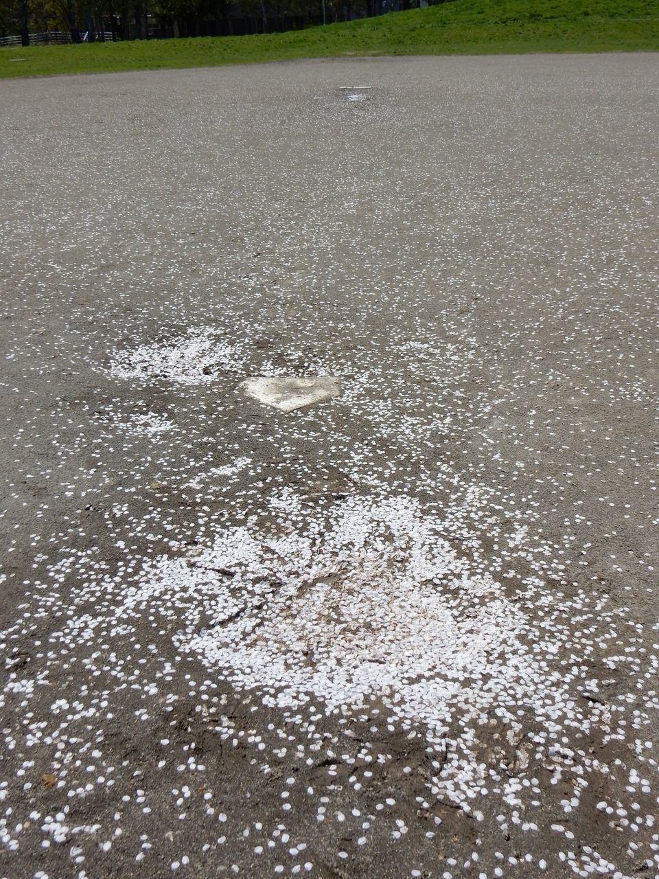 太陽は輝きますが気温はそれほど上がりません_c0025115_23031324.jpg