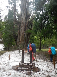 c0359615_20531878.jpg