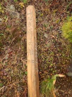 c0359615_20563919.jpg