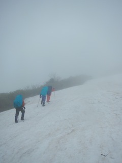 c0359615_20570550.jpg