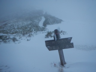 c0359615_20583956.jpg