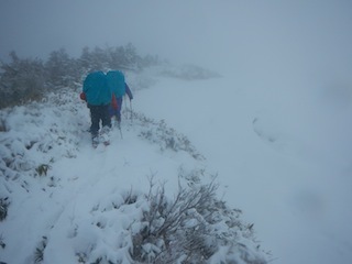 c0359615_20590887.jpg
