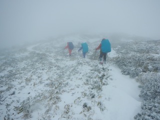c0359615_20592696.jpg