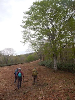 c0359615_21032006.jpg