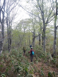 c0359615_21035523.jpg