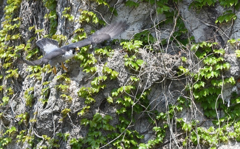 c0385415_07270164.jpg