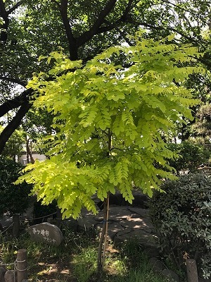 e0373815_14065973.jpg