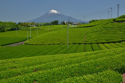 b0369916_09094990.jpg