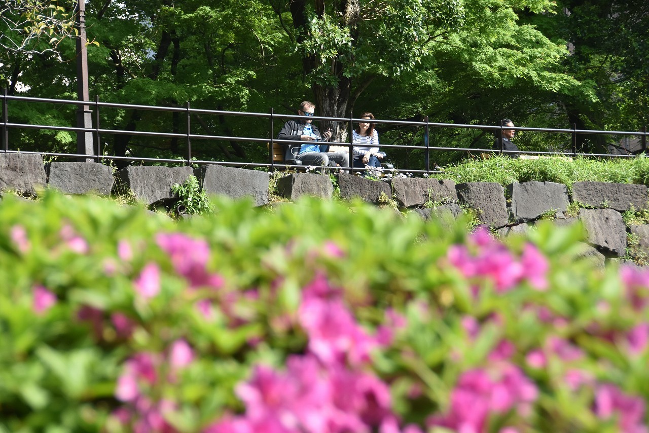 雨上がりの日比谷公園_d0065116_20003532.jpg