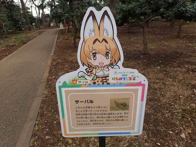 お昼寝フェネックと井の頭のシュールなフレンズたち 続々 動物園ありマス