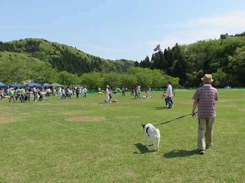 c0084117_19552711.jpg