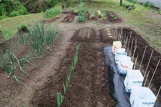 e0081218_15552041.jpg