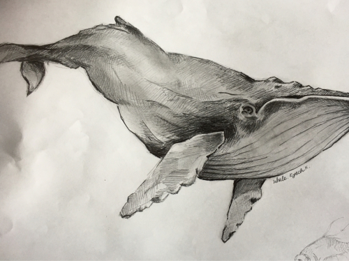 独特な 鷲の鉛筆画「生」 Shi（茂田井武 初山滋 アラビアンナイト 1951 絵画