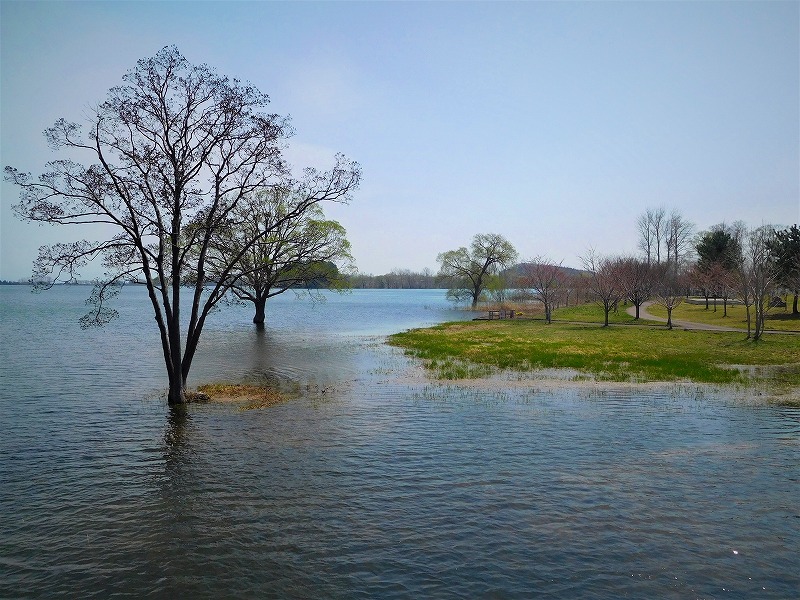 e0366721_20182519.jpg