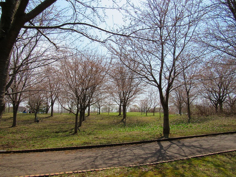 e0366721_20184734.jpg