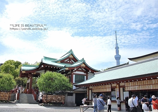 天神様_d0083623_15251509.jpg