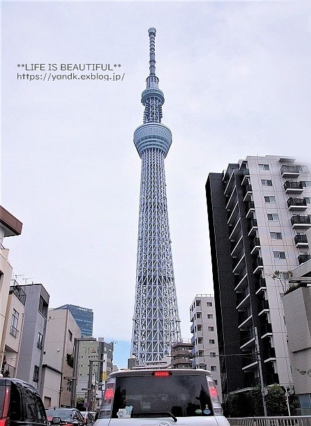 天神様_d0083623_15255148.jpg